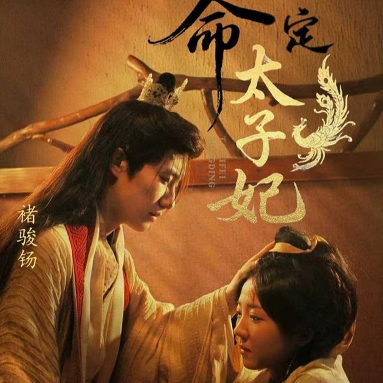命定太子妃